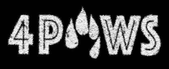 4Paws Records