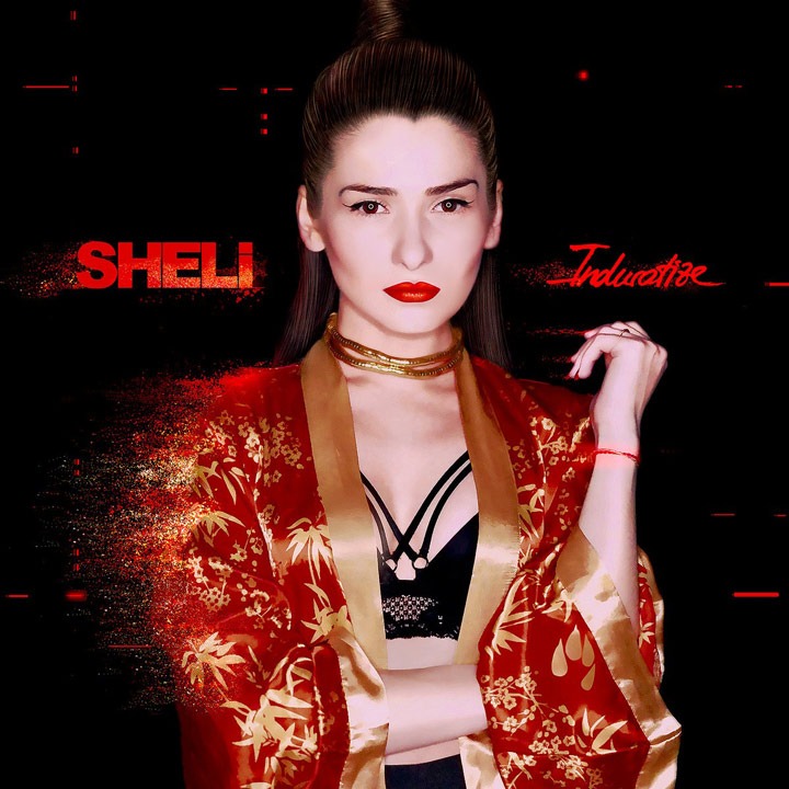 Induratize Cover