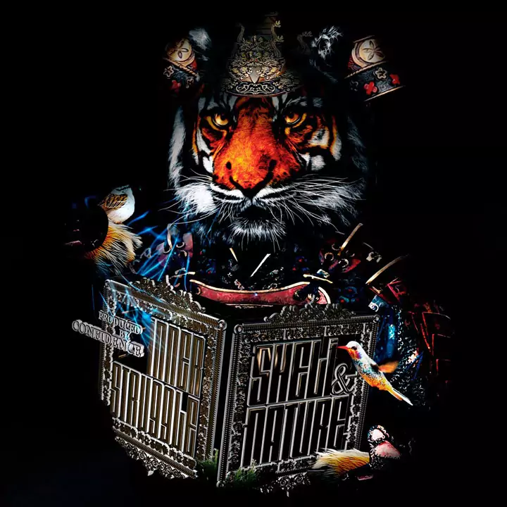 Inner Struggle Cover